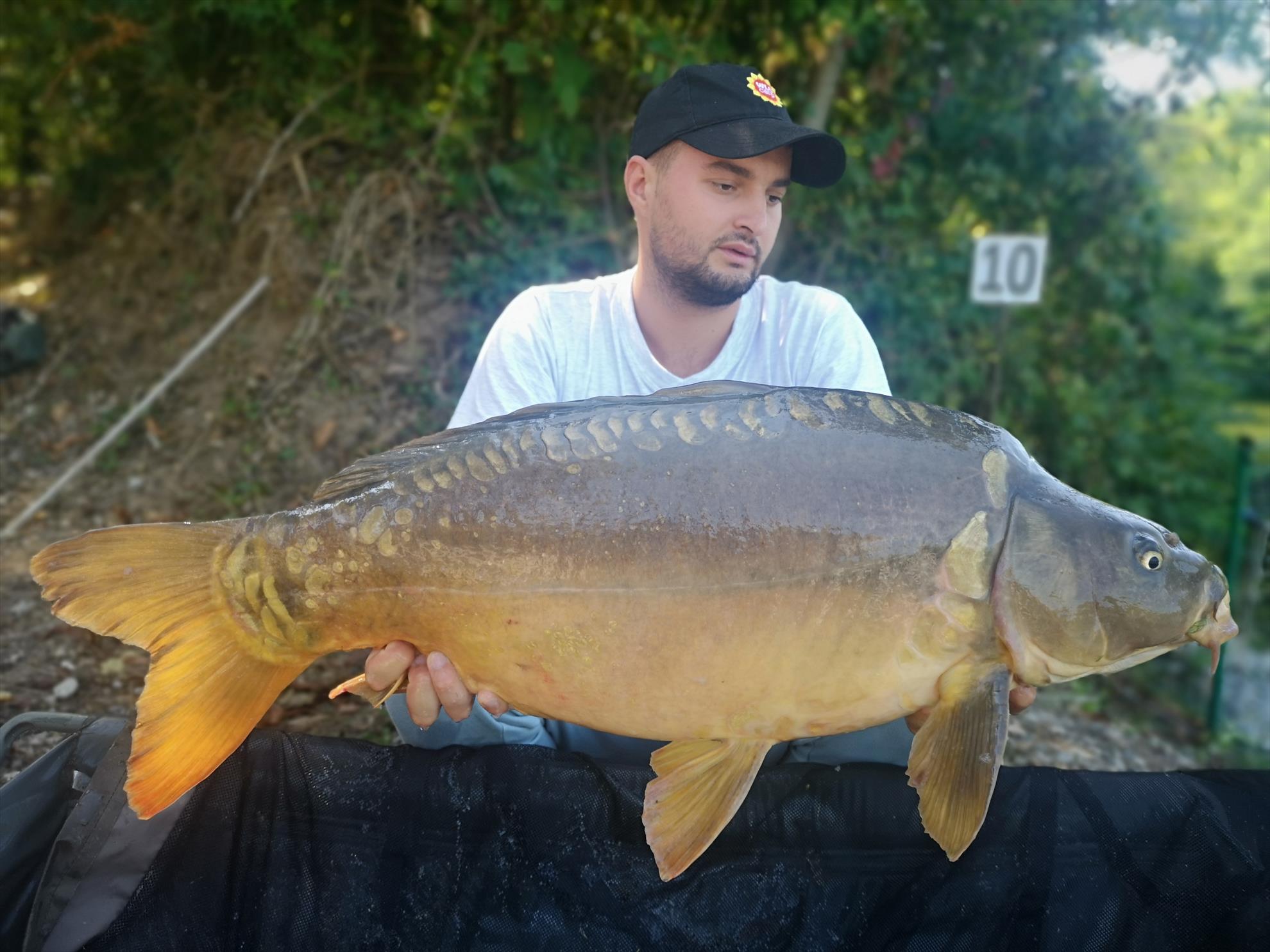 Jezero Žabar - img20190905120354.jpg